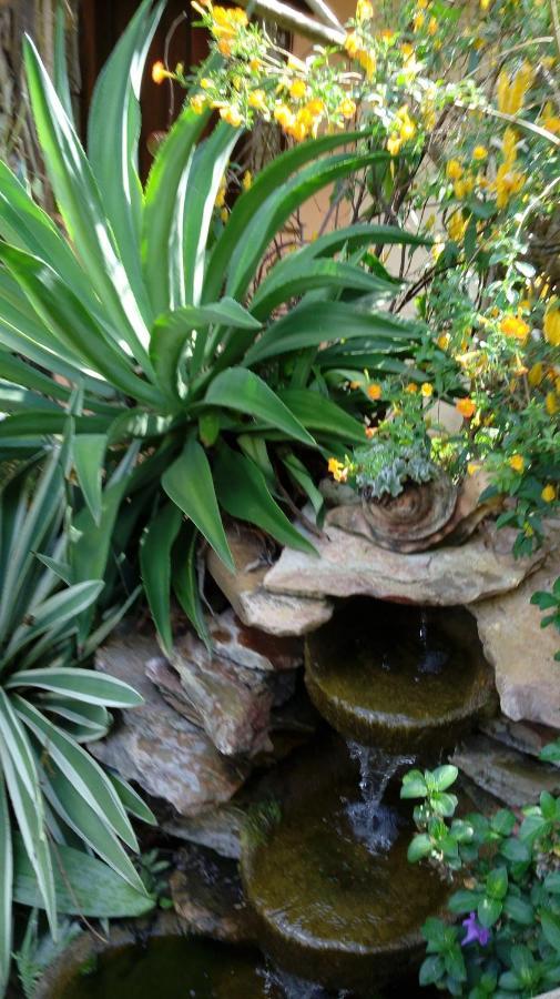 Eco Pousada Jardim Do Eden Alto Paraíso de Goiás Buitenkant foto