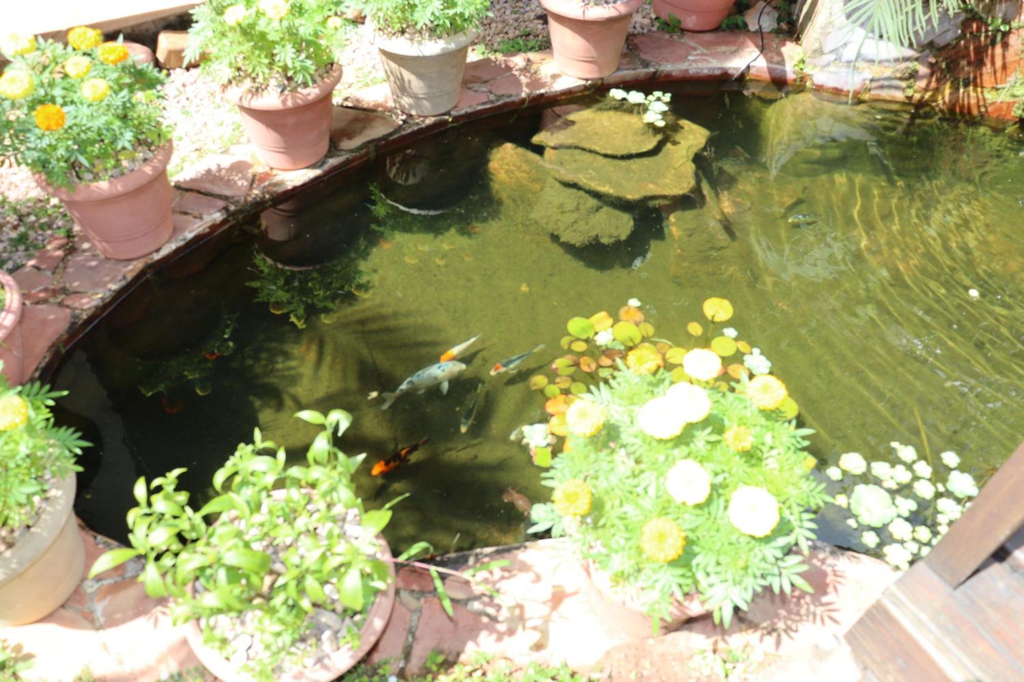 Eco Pousada Jardim Do Eden Alto Paraíso de Goiás Buitenkant foto
