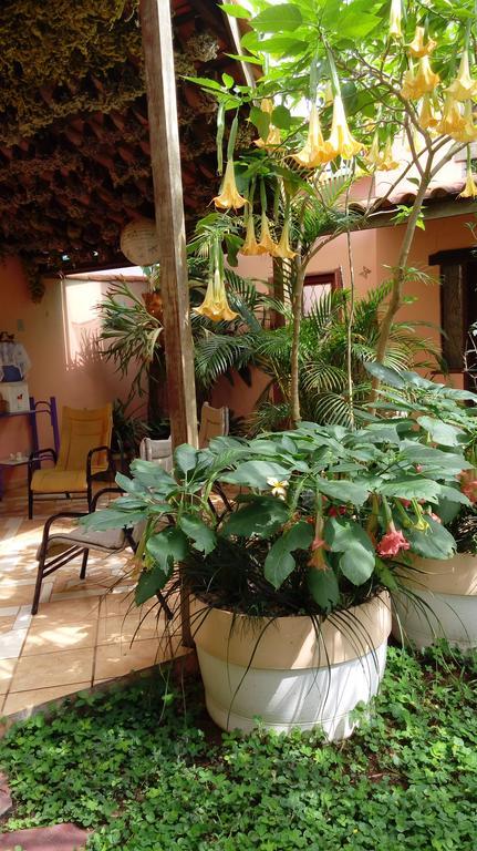 Eco Pousada Jardim Do Eden Alto Paraíso de Goiás Buitenkant foto