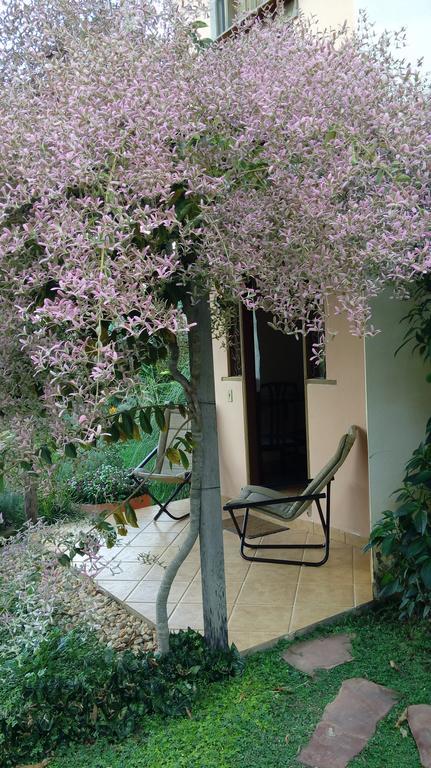 Eco Pousada Jardim Do Eden Alto Paraíso de Goiás Buitenkant foto